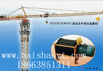 QTZ125QTZ125 Tower crane 
PI: