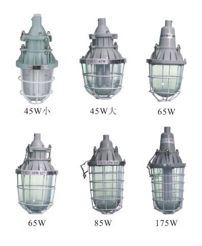 ܟBAD-JExplosion-proof lamps BAD -  
PI: