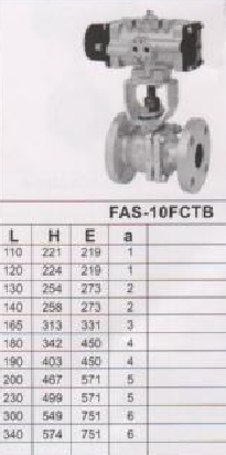 FA-10FCTBy 
PI: