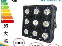 LED1200W 
PI: