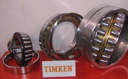 TIMKENMS 
PI: